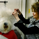 Illustration for article titled More Puppy Love From the Westminster Dog Show